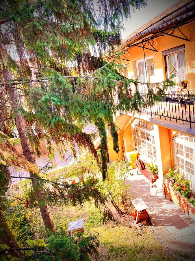 Green Apartman Eger Luaran gambar